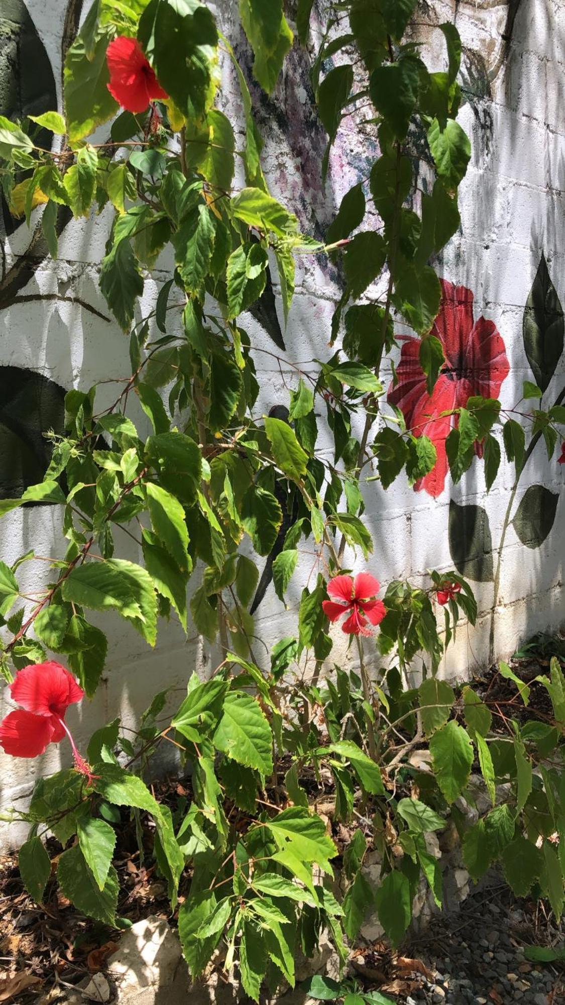 Casona La Carolina Villa San Andrés Eksteriør billede