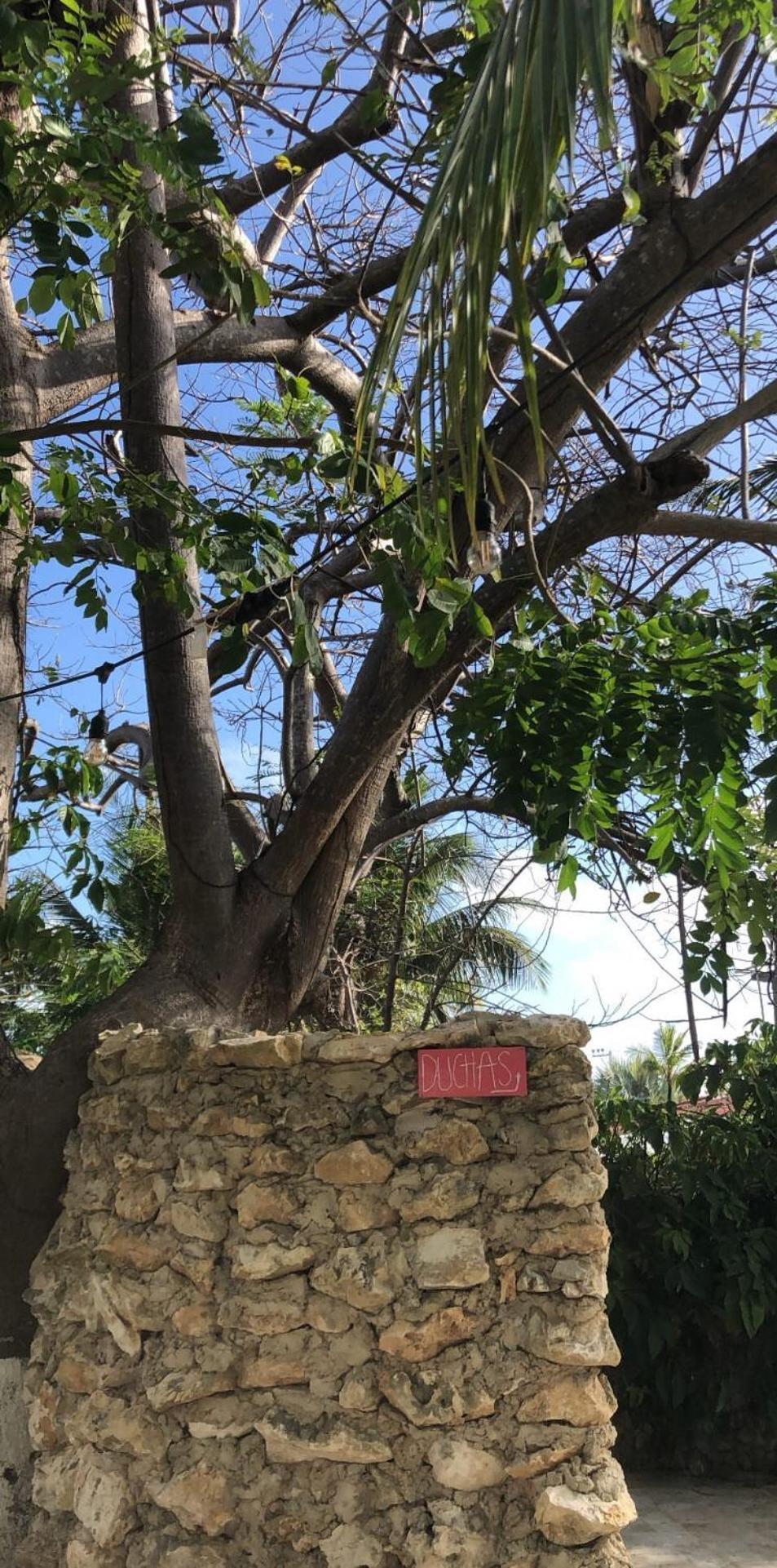 Casona La Carolina Villa San Andrés Eksteriør billede