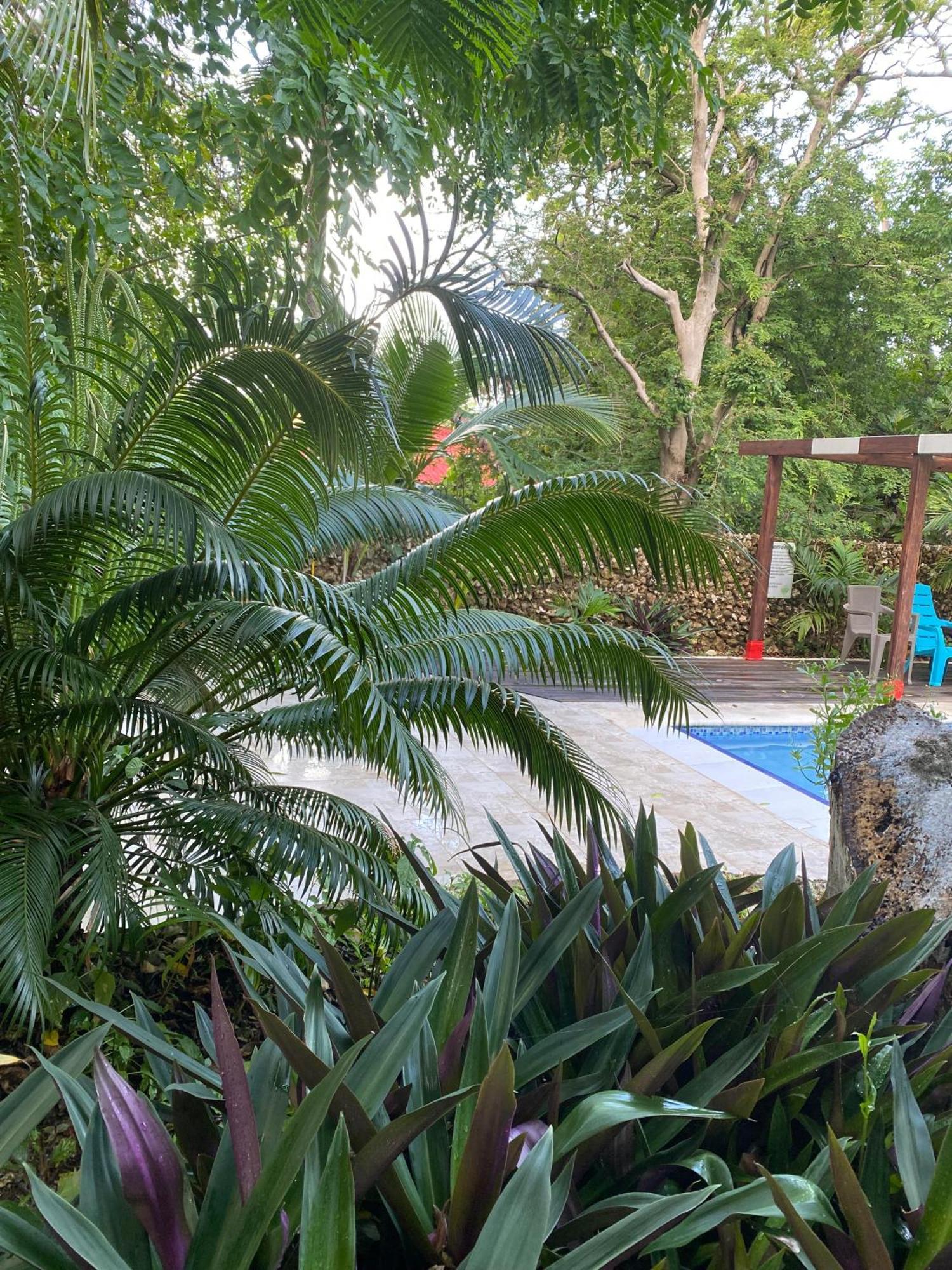 Casona La Carolina Villa San Andrés Eksteriør billede