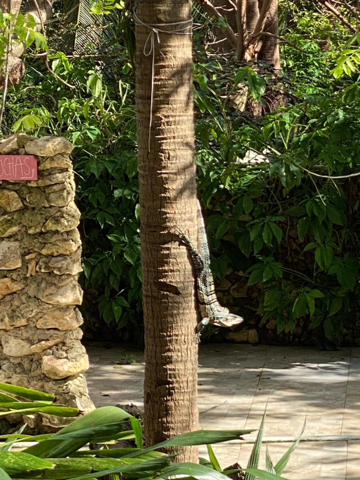 Casona La Carolina Villa San Andrés Eksteriør billede